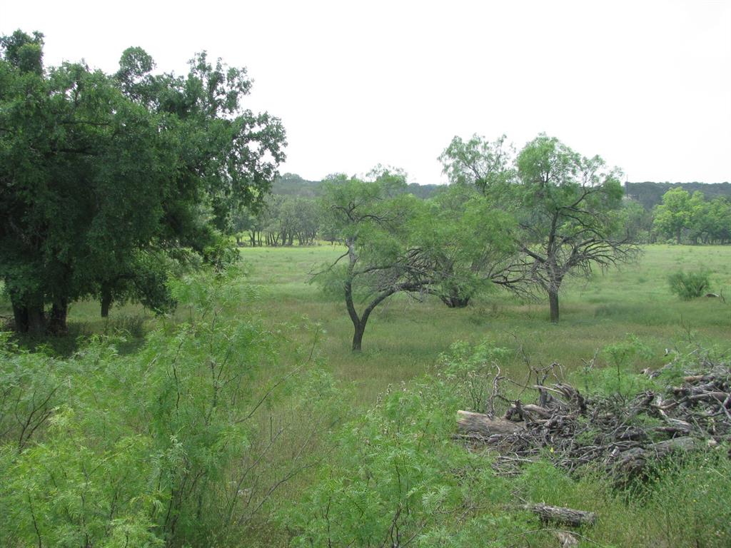 Buffalo Creek Ranch - Land