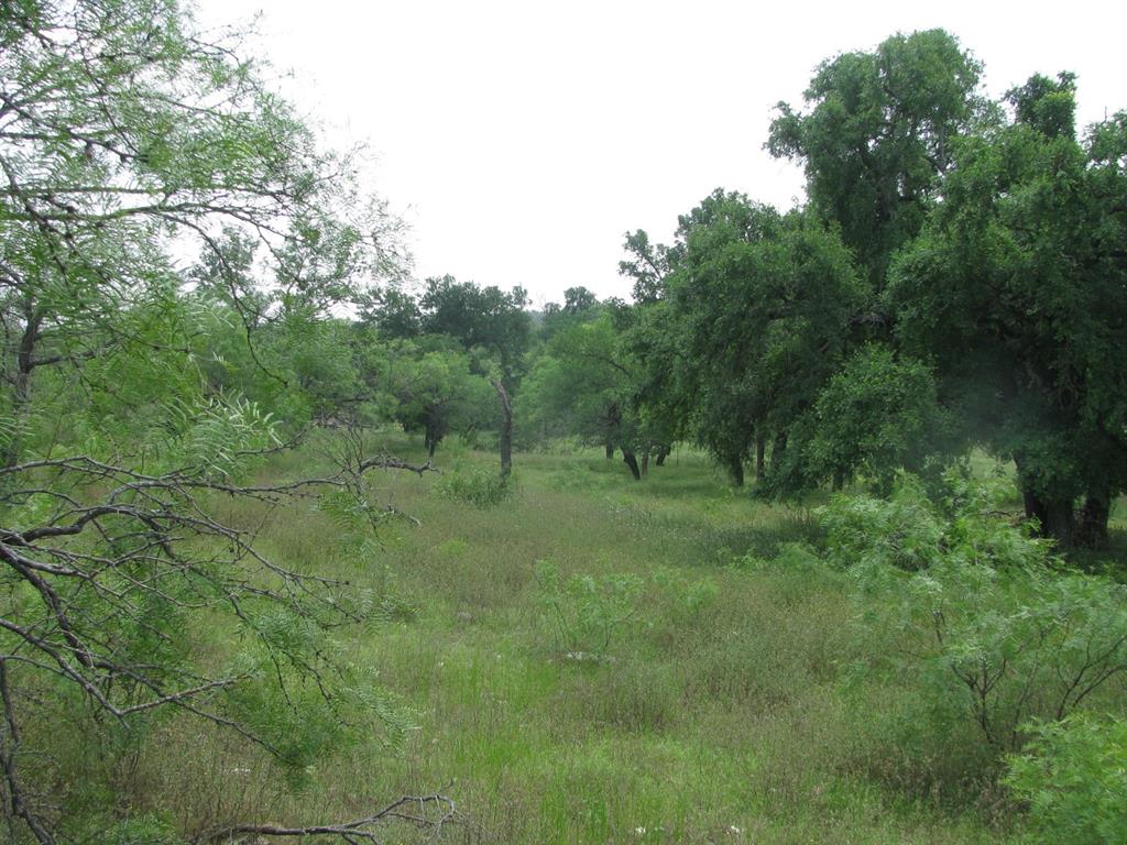 Buffalo Creek Ranch - Land