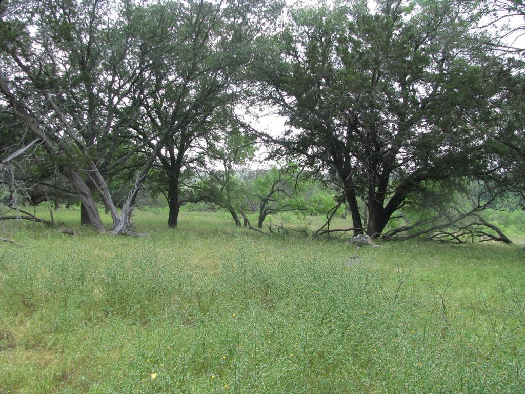 Buffalo Creek Ranch - Land