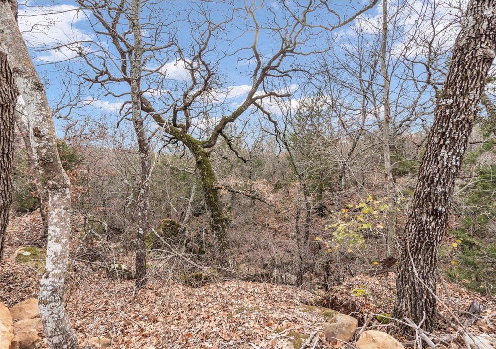 Silver Lakes Ranch - Land