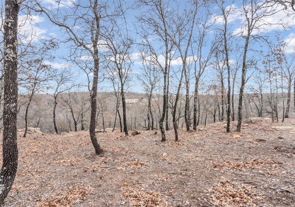 Silver Lakes Ranch - Land