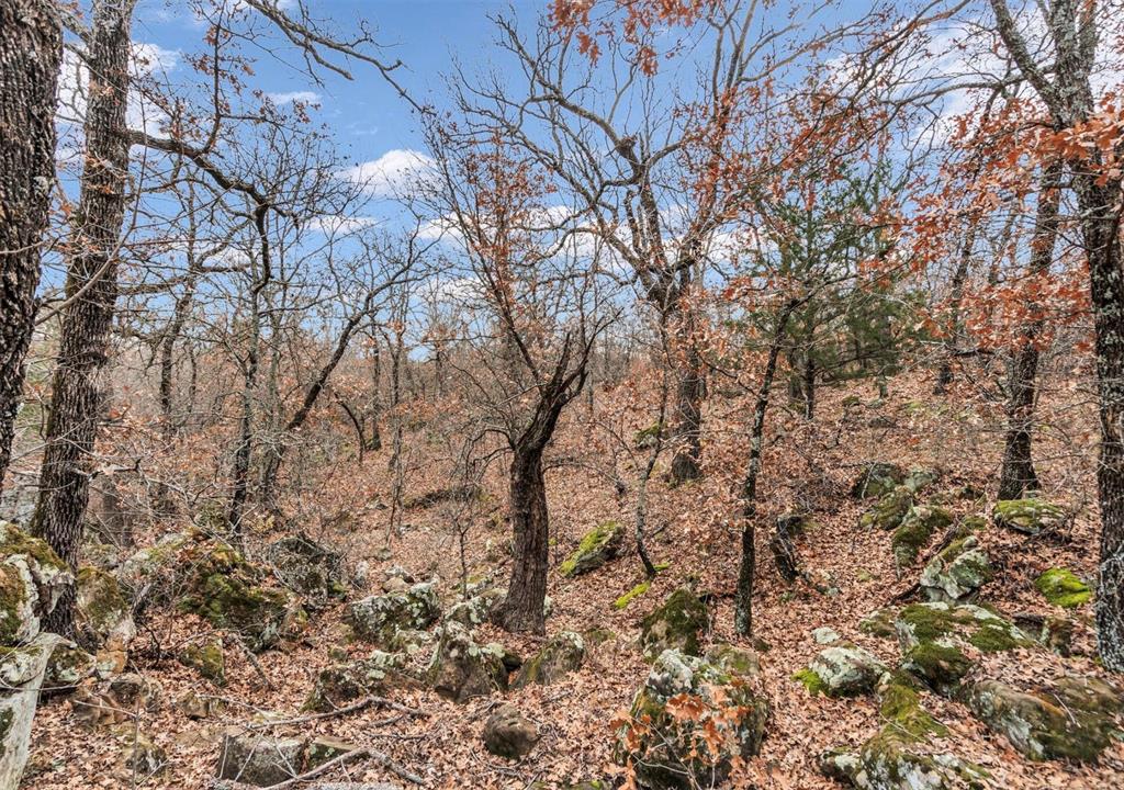 Silver Lakes Ranch - Land