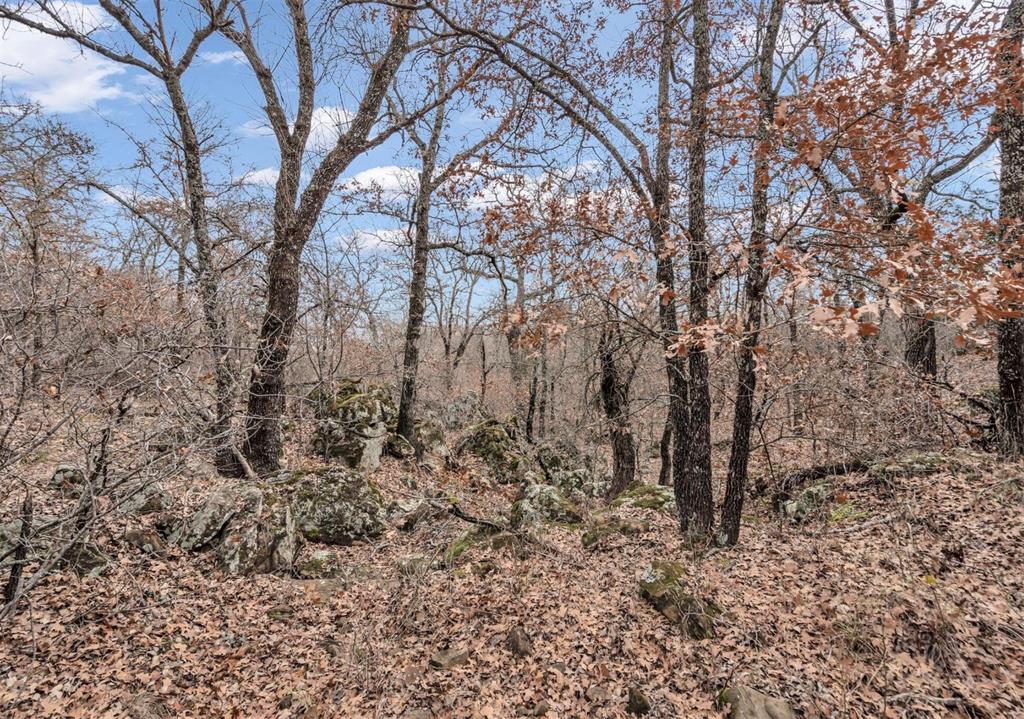 Silver Lakes Ranch - Land