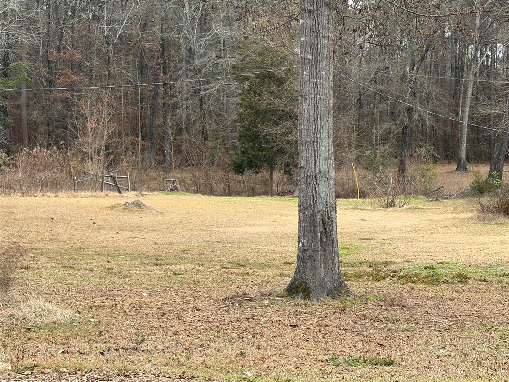 Bistineau Terrace - Residential