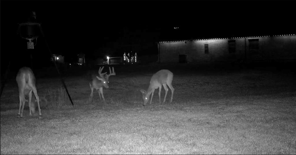 Preserve At Union Valley - Residential