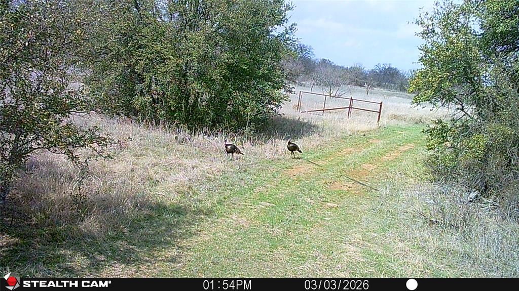 C Littlefield 638 - Farm