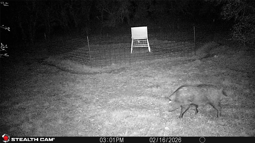 C Littlefield 638 - Farm