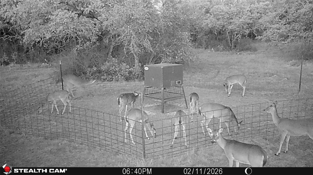 C Littlefield 638 - Farm