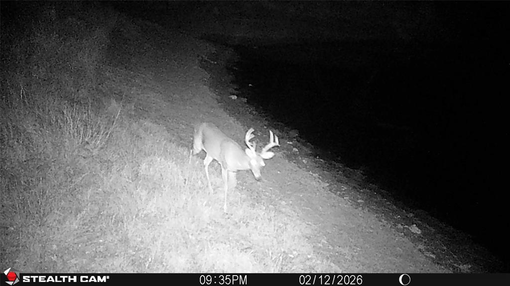 C Littlefield 638 - Farm