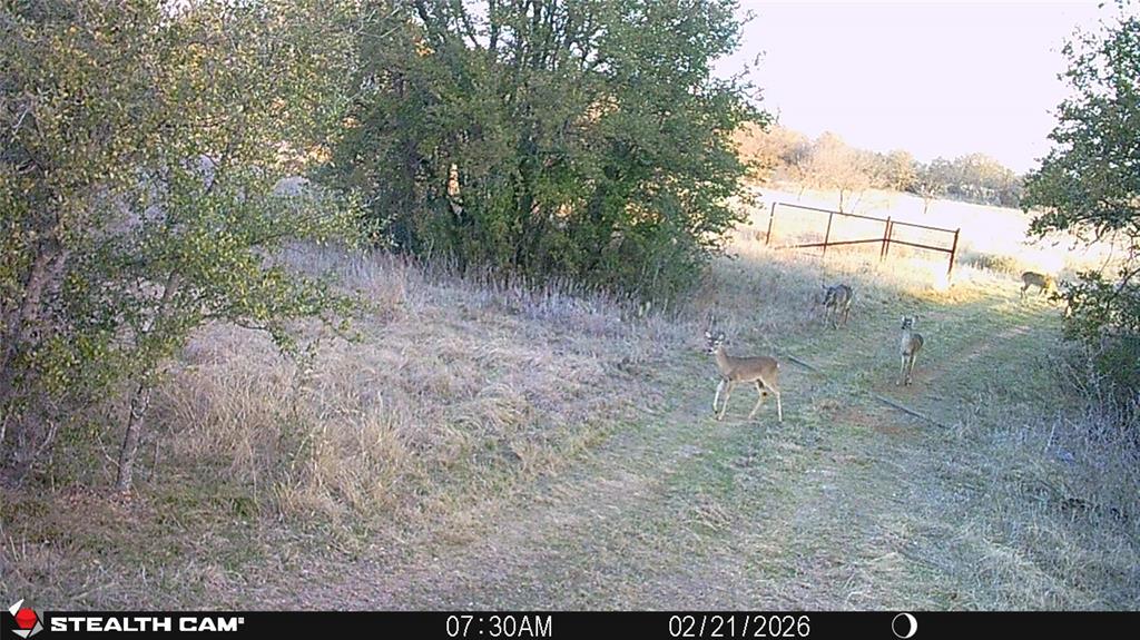 C Littlefield 638 - Farm