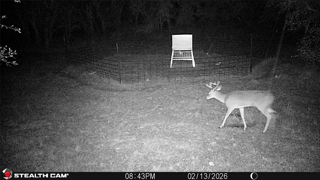 C Littlefield 638 - Farm