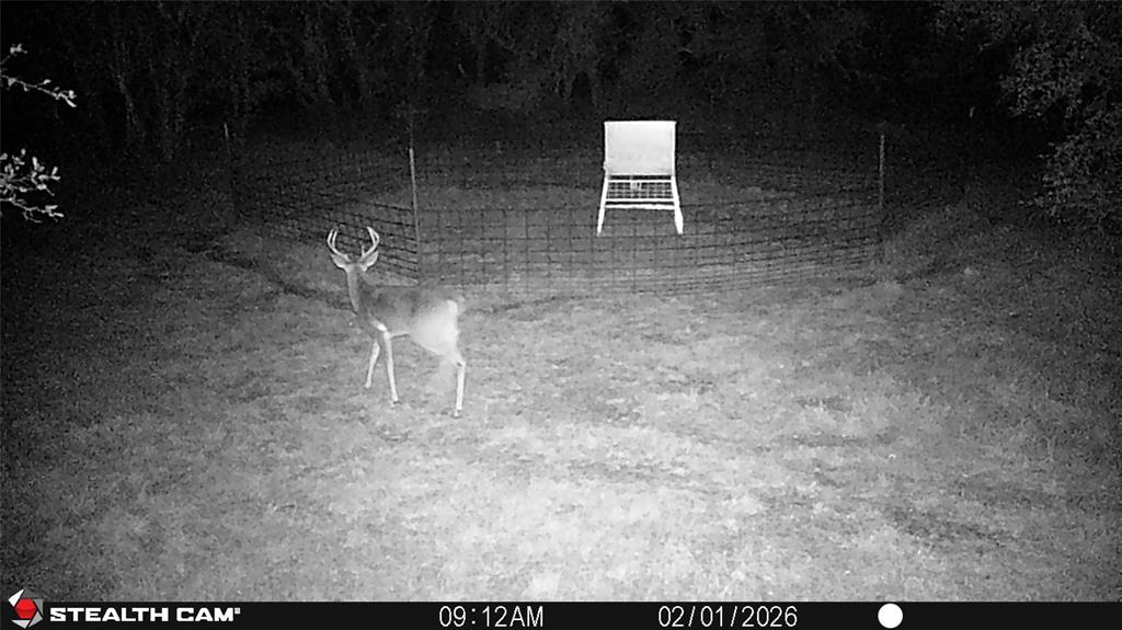 C Littlefield 638 - Farm