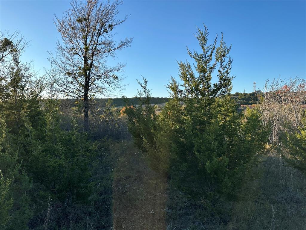 Lot 659R Canyon Wren Loop