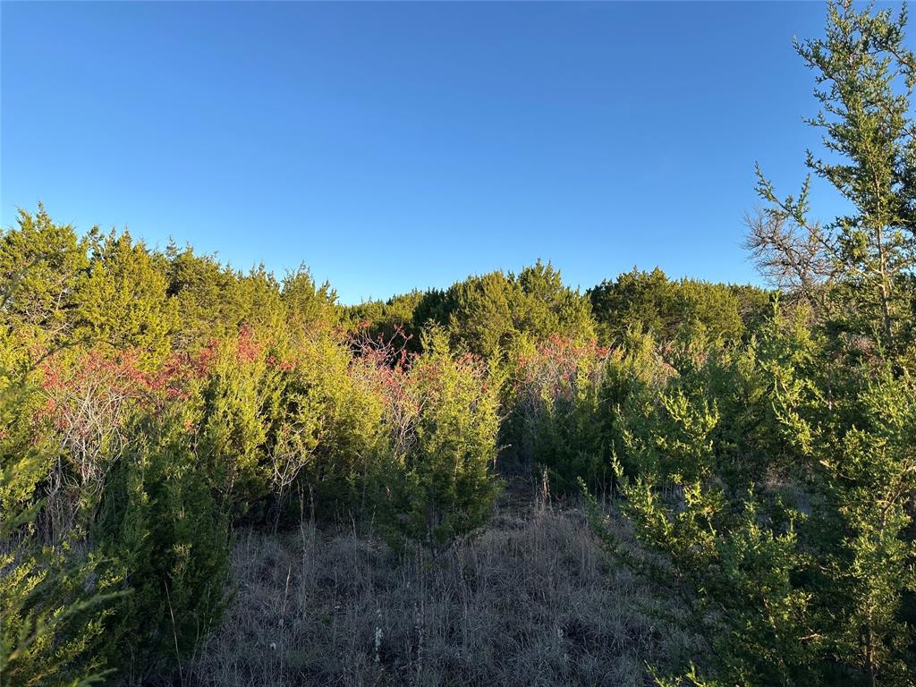 Lot 659R Canyon Wren Loop