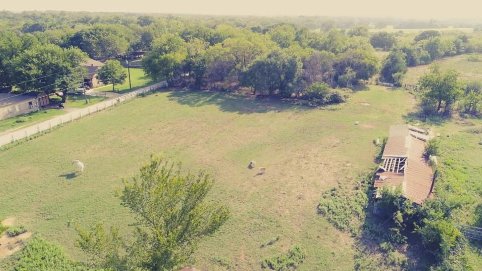 Rockerfellow Margaret Surv - Land