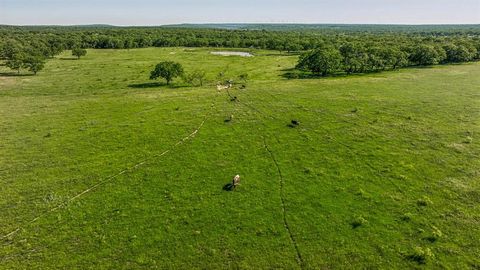 A home in Jacksboro