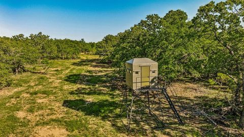 A home in Jacksboro