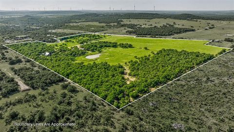 A home in Jacksboro