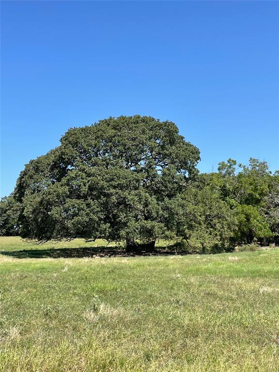 TBD County Road 2150
