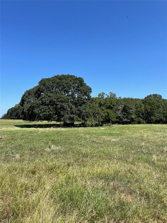 TBD County Road 2150
