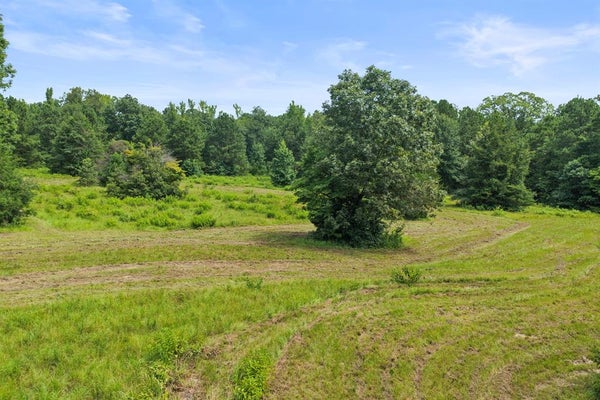 COUNTY RD 1763, LINDEN, TX 75563 - Image 0396c8effa46f7d9e234615358fe38e2/3437620268