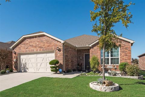 A home in Little Elm