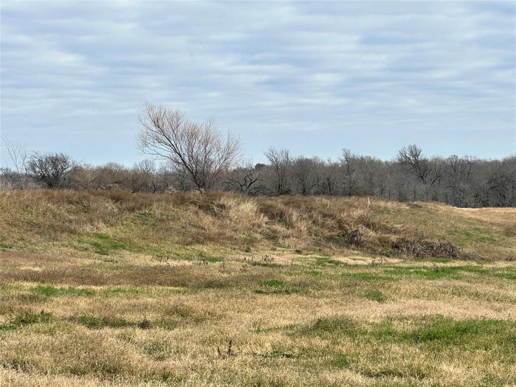 The Overlook at Richland Chambers Lake - Land