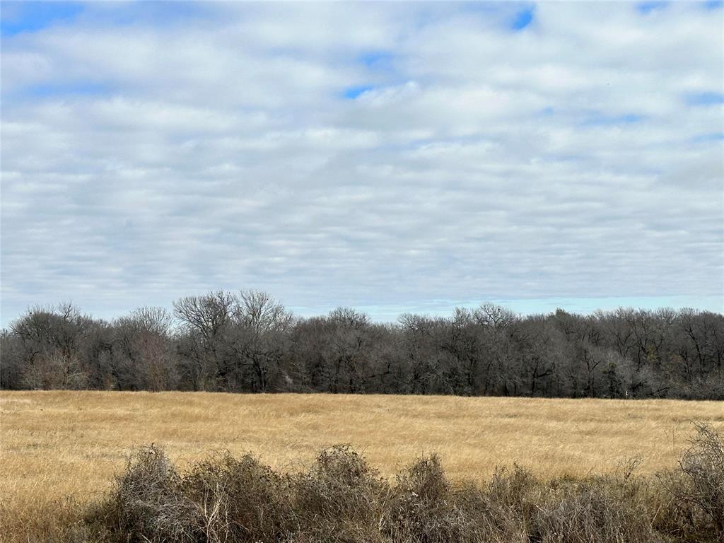 The Overlook at Richland Chambers Lake - Land