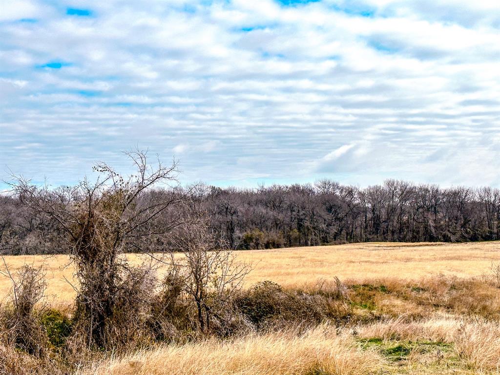 The Overlook at Richland Chambers Lake - Land