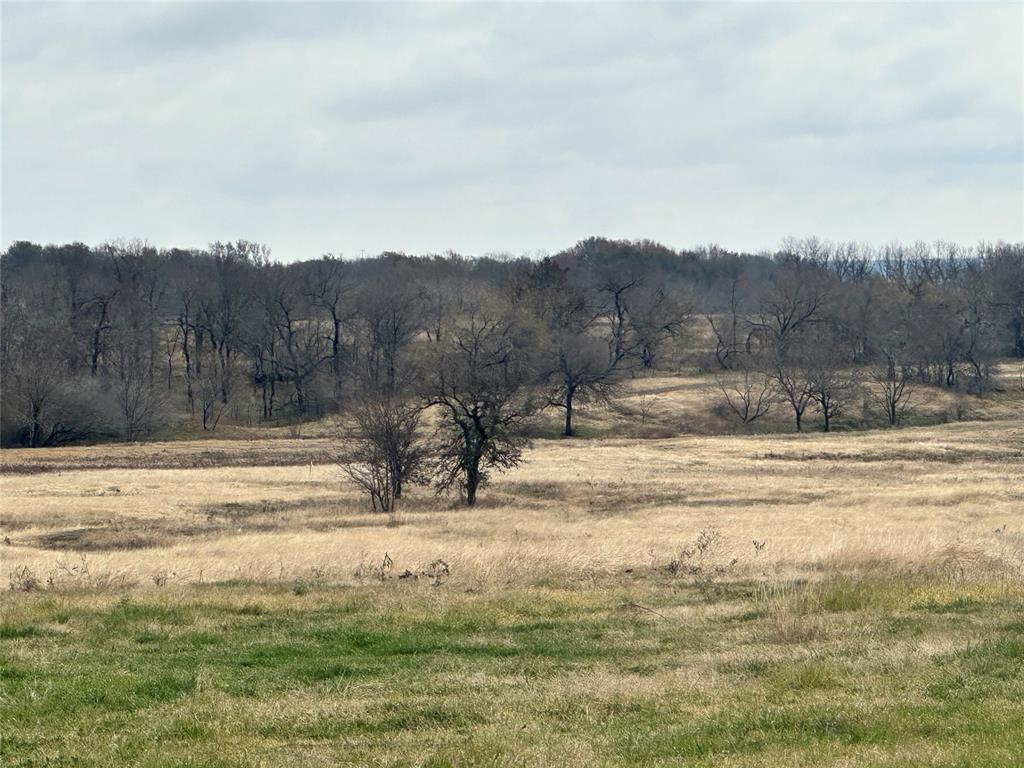 The Overlook at Richland Chambers Lake - Land