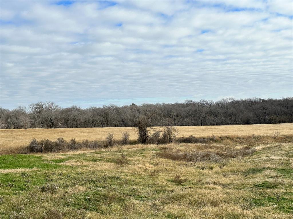 The Overlook at Richland Chambers Lake - Land