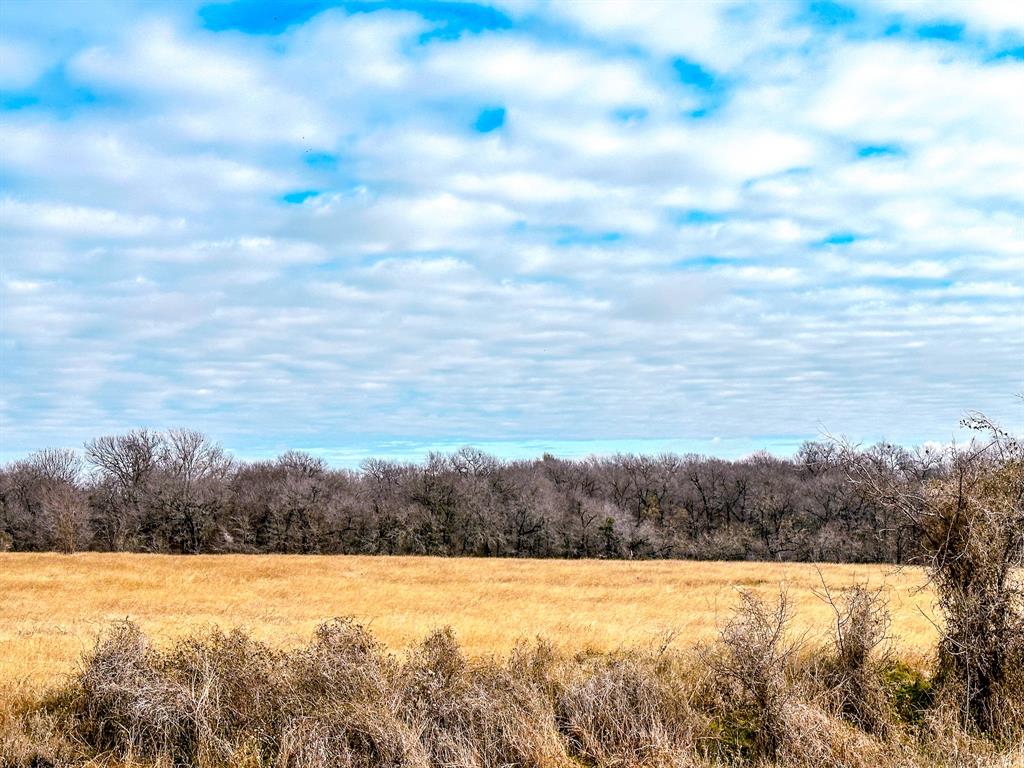 The Overlook at Richland Chambers Lake - Land