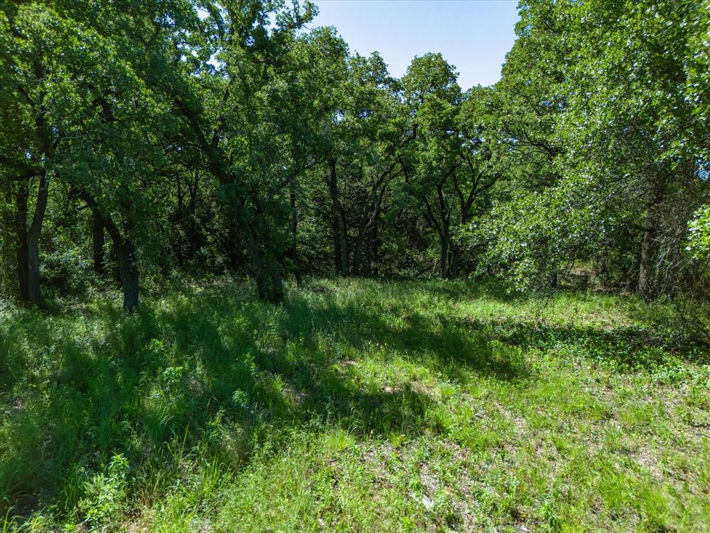 Cherokee Trails - Land