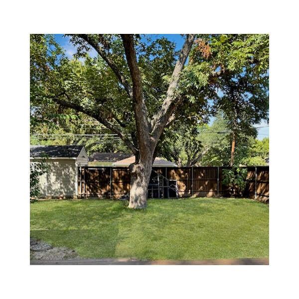 Caruth Terrace - Residential