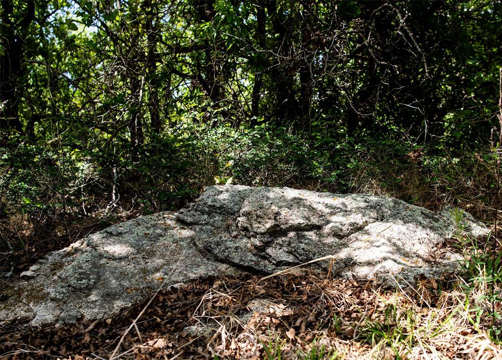 Red Oak Hills Sub - Land
