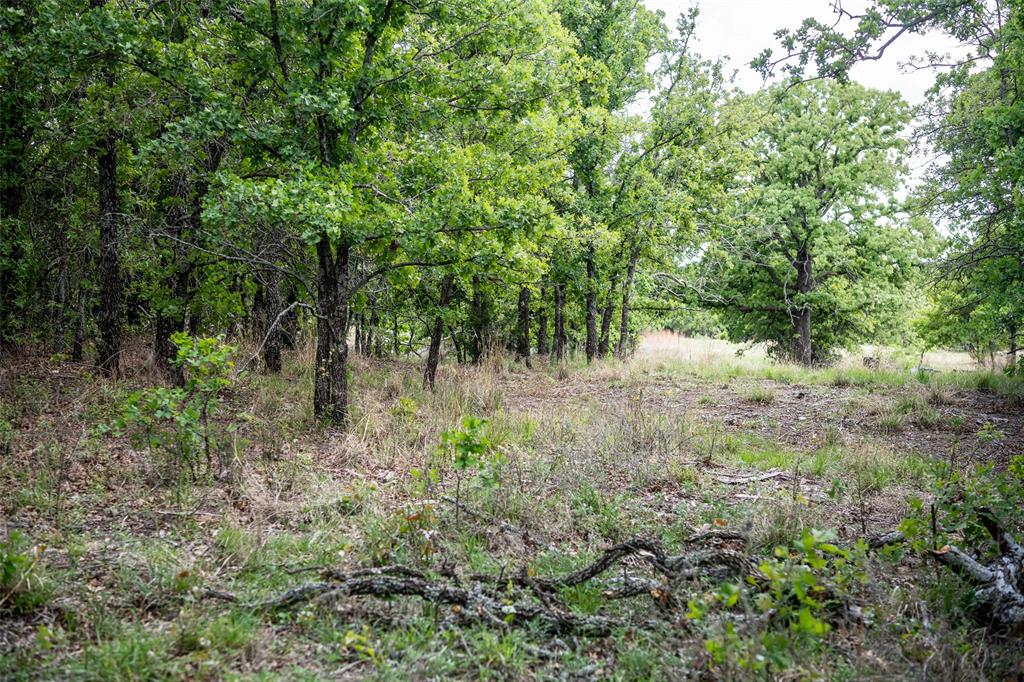 Red Oak Hills Sub - Land