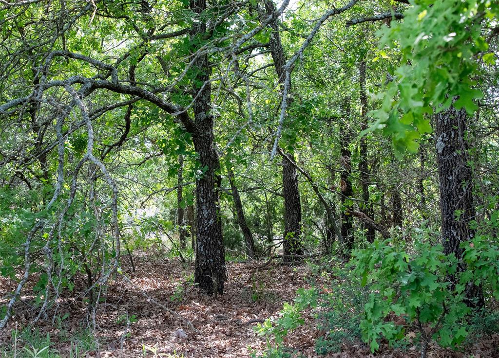 Red Oak Hills Sub - Land