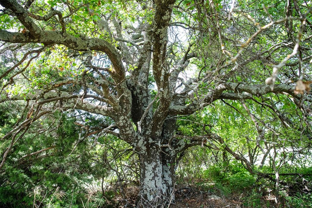 Red Oak Hills Sub - Land