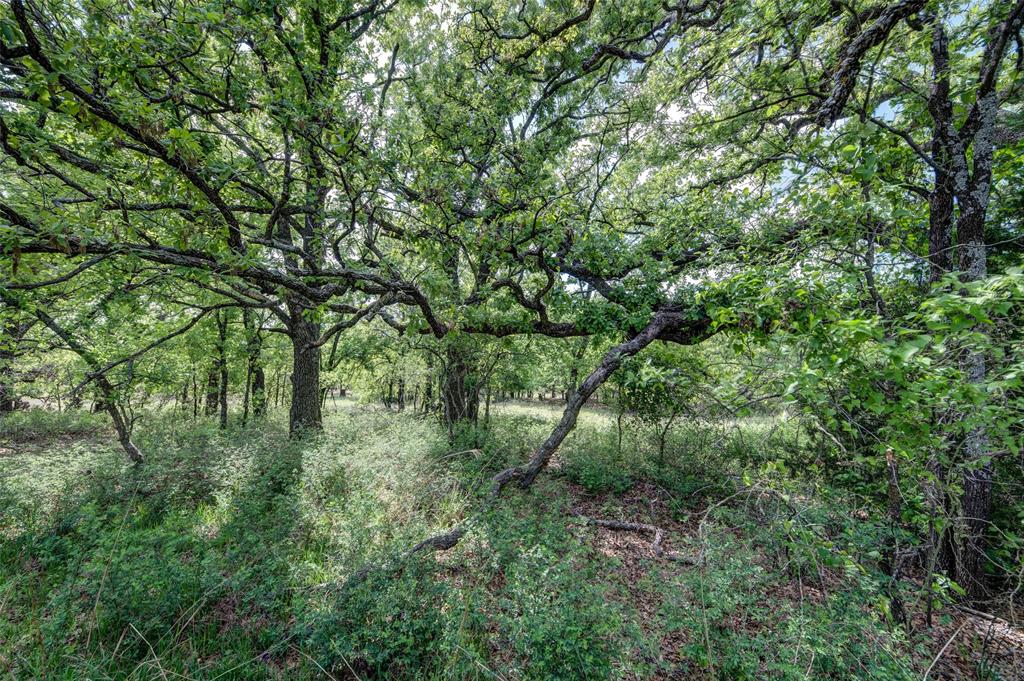 Red Oak Hills Sub - Land
