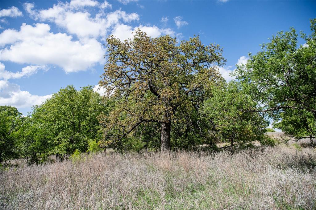 Red Oak Hills Sub - Land