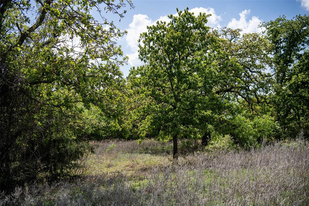 Red Oak Hills Sub - Land