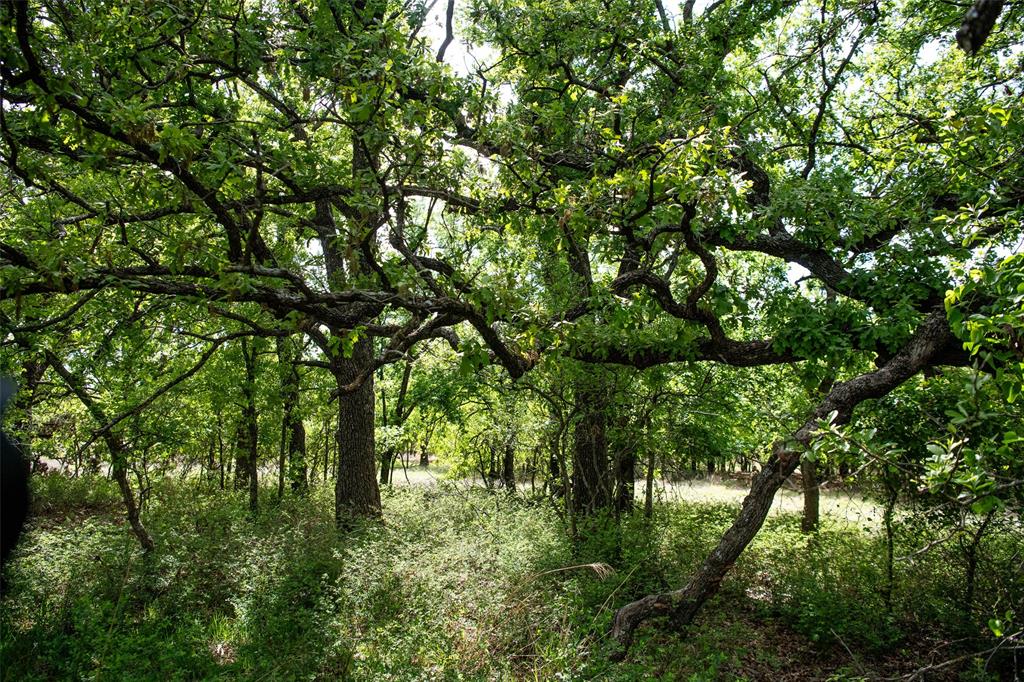Red Oak Hills Sub - Land