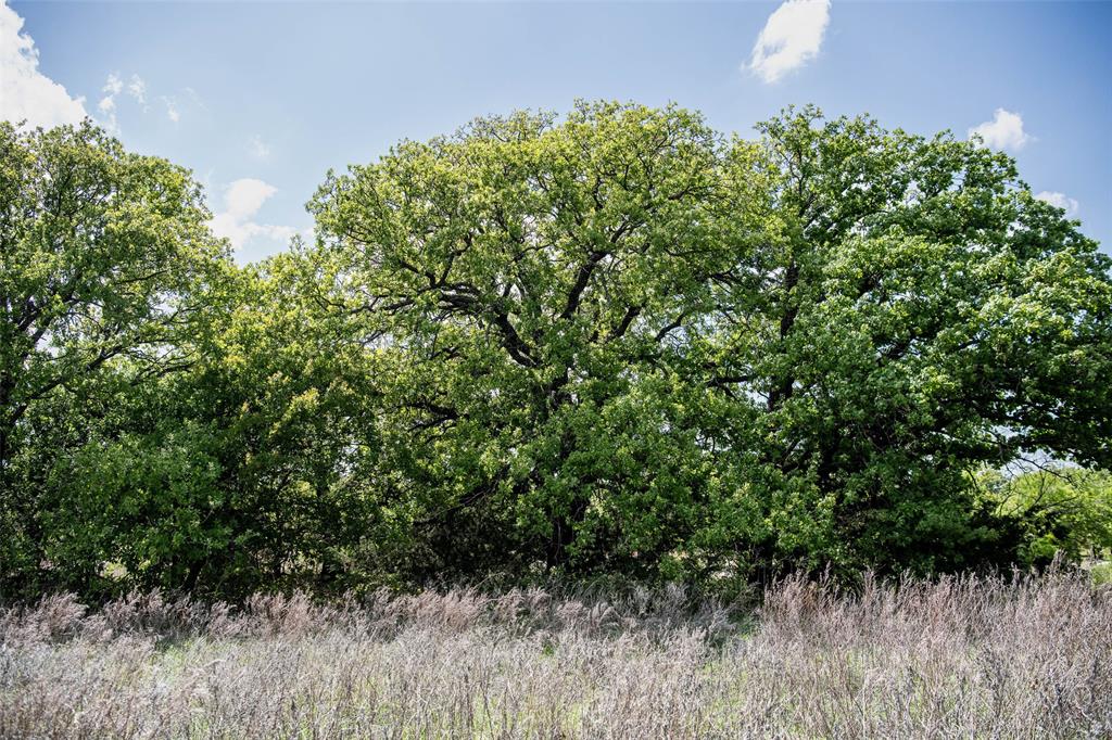 Red Oak Hills Sub - Land