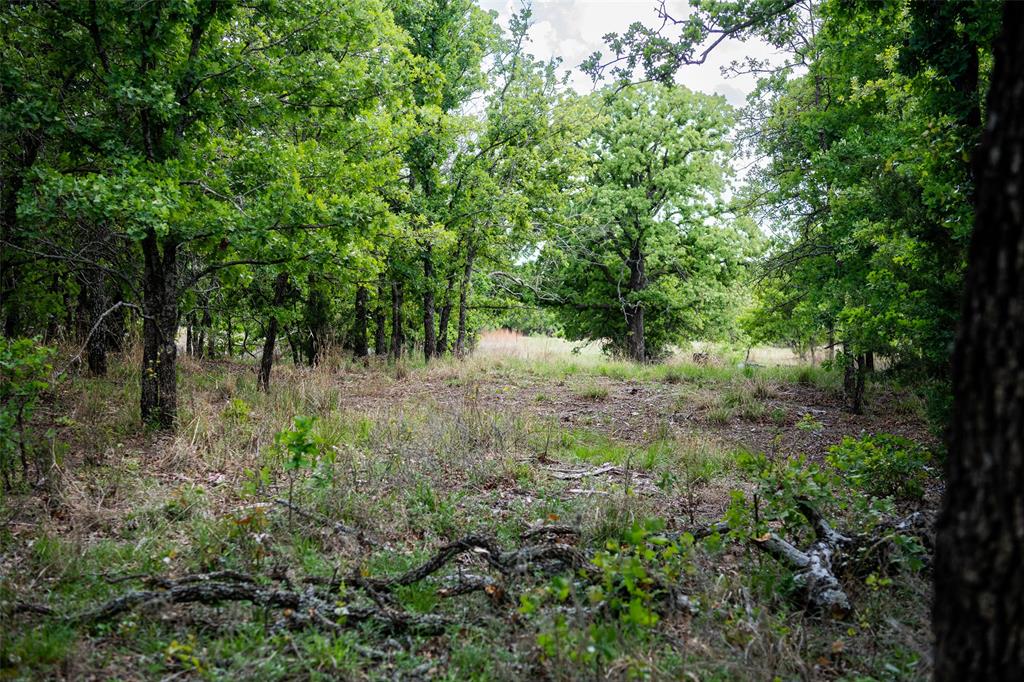 Red Oak Hills Sub - Land
