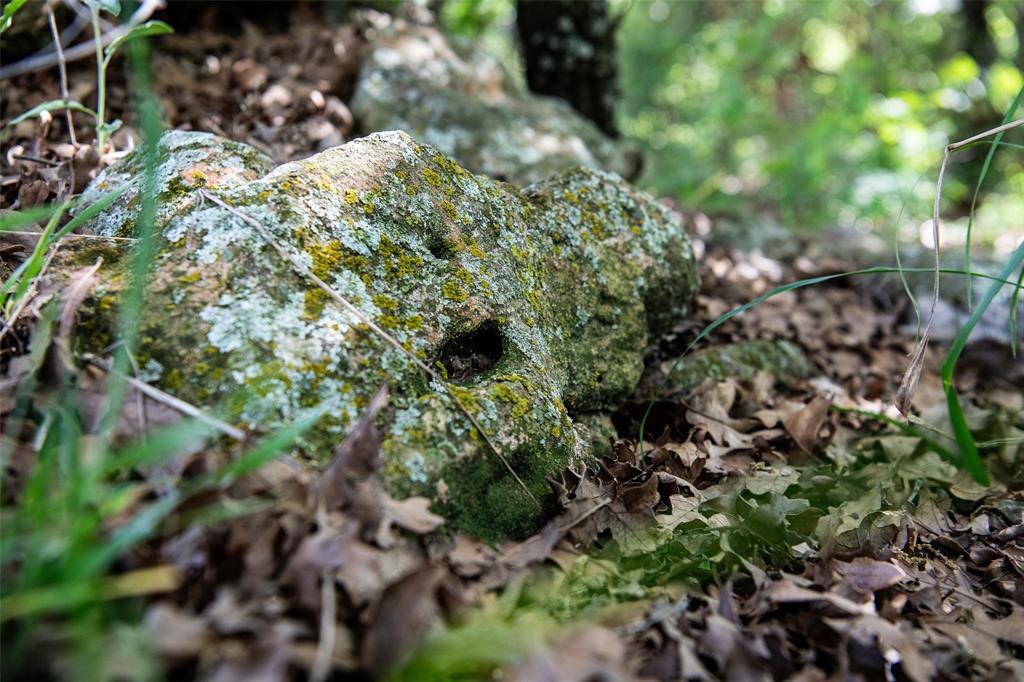 Red Oak Hills Sub - Land