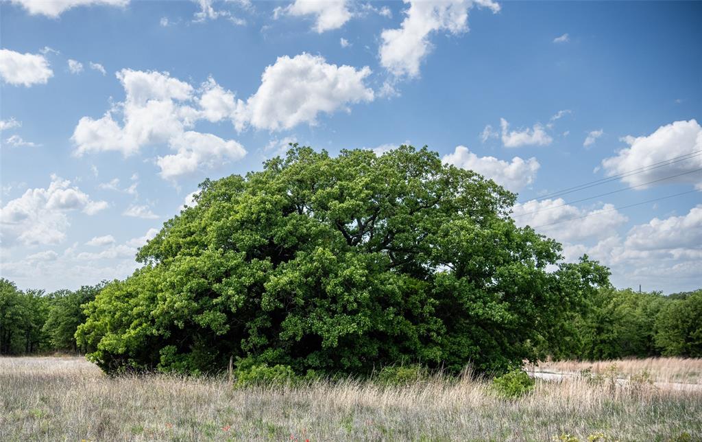 Red Oak Hills Sub - Land