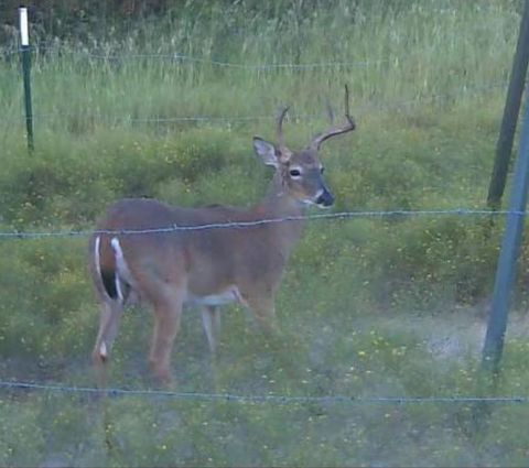 1690 County Road 530 Evant TX 76525