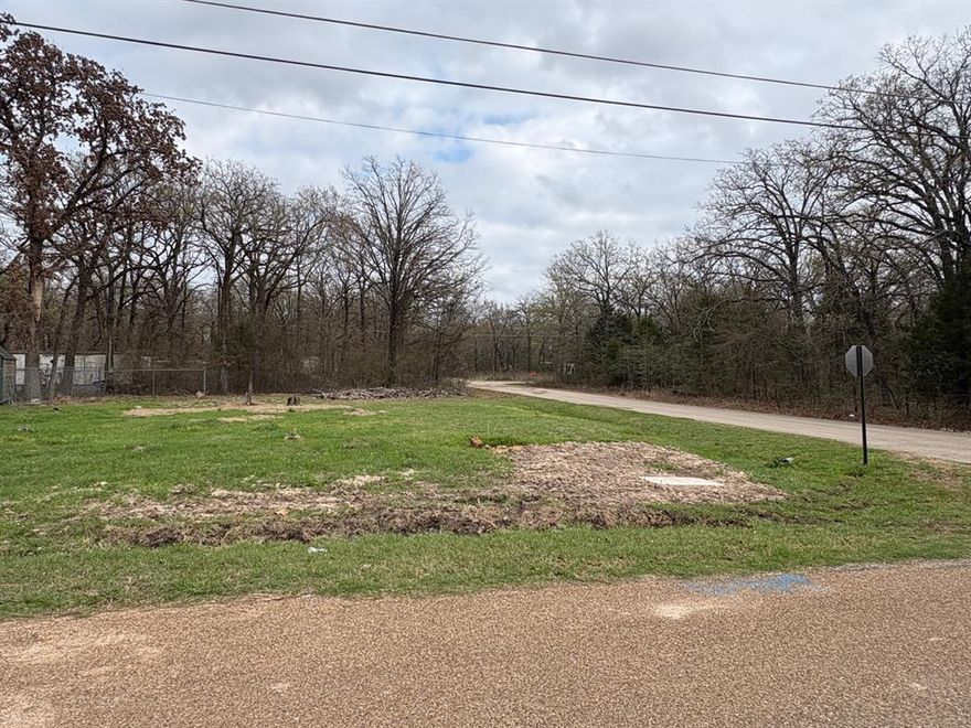 Come grab your secluded corner lot in East Texas!  Ready for you to come build your home just east of Cedar Creek Lake.  Bring your vision to life with building your own home.  Just a short walk to the lake.  Make this your next stop in life!!