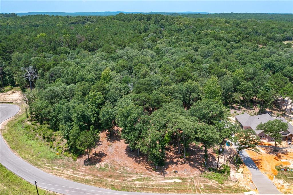 3109 Shadow Pine Drive