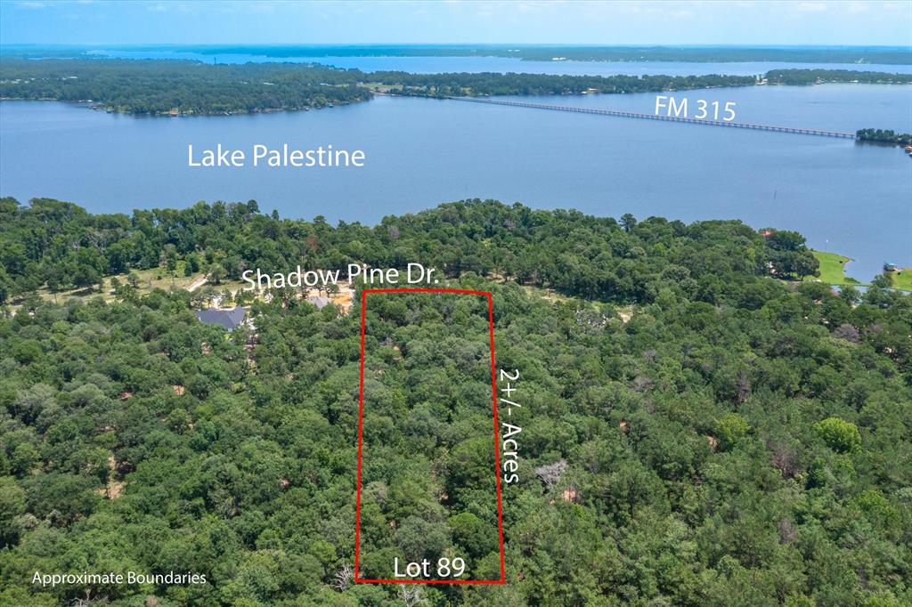 3109 Shadow Pine Drive